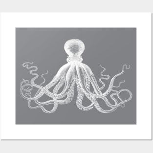 Octopus | Vintage Octopus | Tentacles | Sea Creatures | Nautical | Ocean | Sea | Beach | Grey and White | Posters and Art